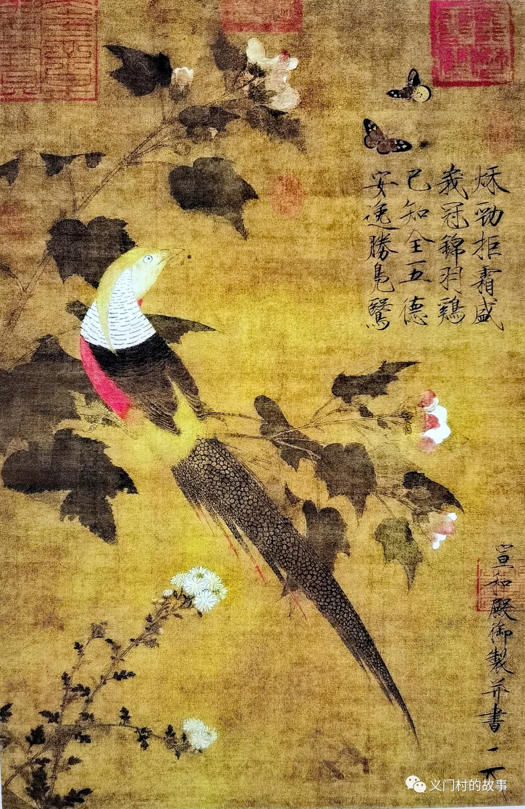 金鸡报晓 赏邮(鸡)话鸡(图)