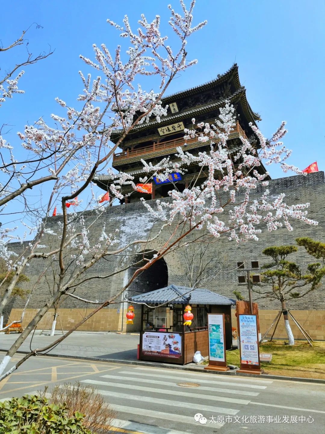 线上展览|“山河春意 锦绣太原——花的世界”主题摄影线上图片展（九）