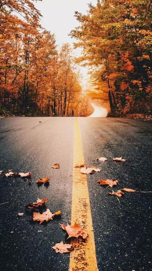 散文：人生就是一场悲欢离合