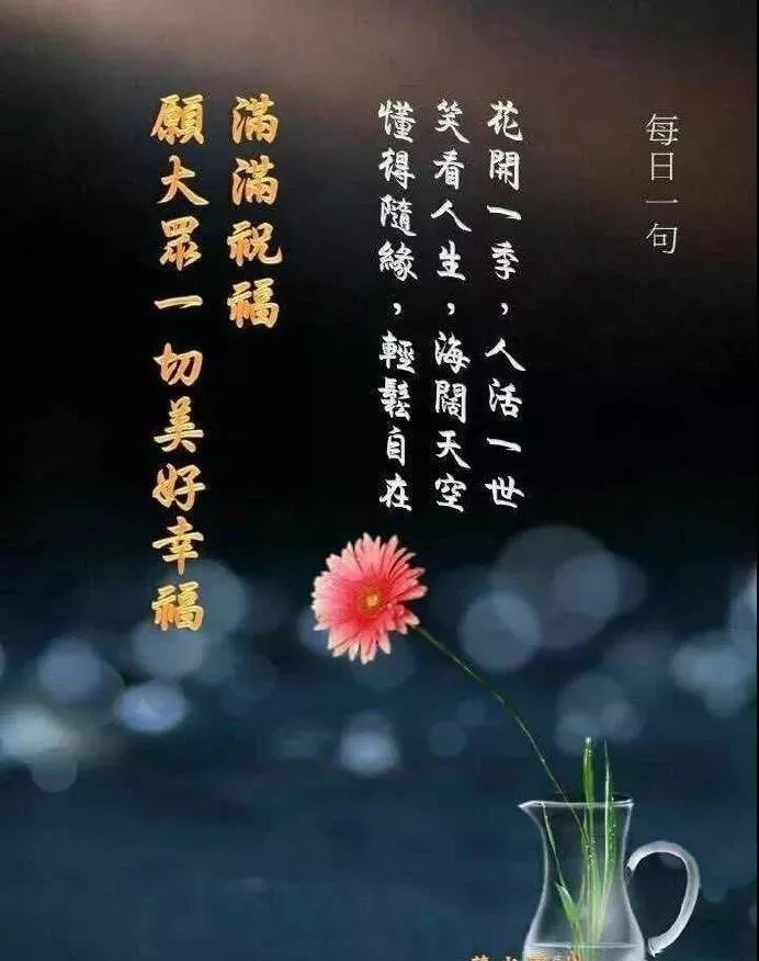 春天里创意动态鲜花图片暖心祝福早上好句子 周六愉快图片
