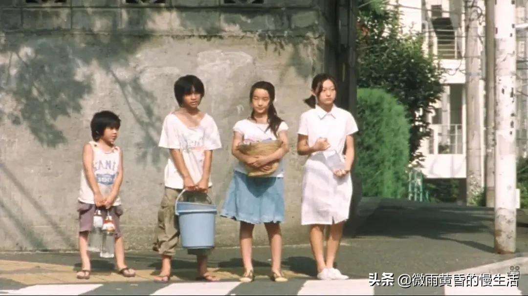 那些被遗弃的花朵,悲伤又温暖地独自开落——《无人知晓》