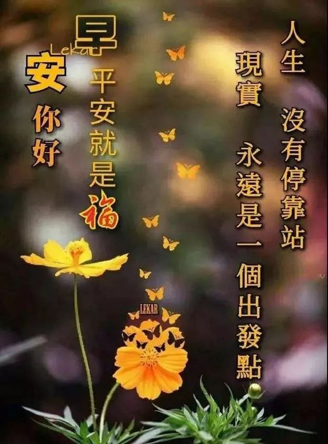最新创意夏日早上好图片带字 愿你欢欣喜悦、事事都美好图片