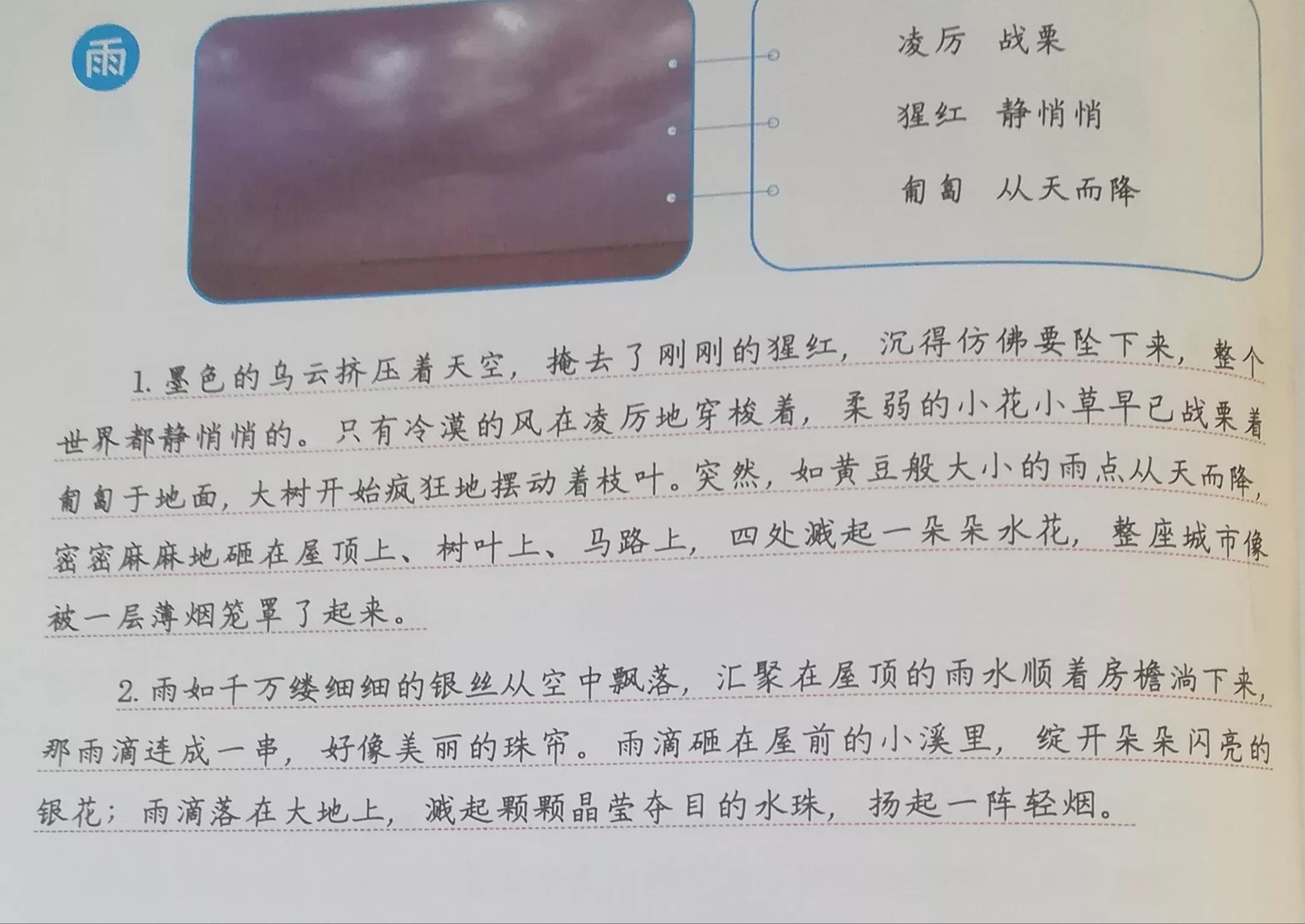 关于雨的句子