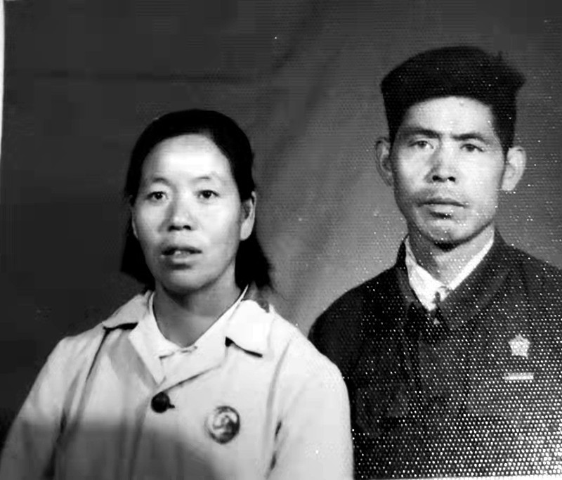 我家的“人世间”故事 | 母亲树（鲜章平）