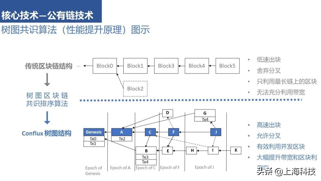 区块链漫天飞，树图凭什么落地？ | 打卡上海科技新地标