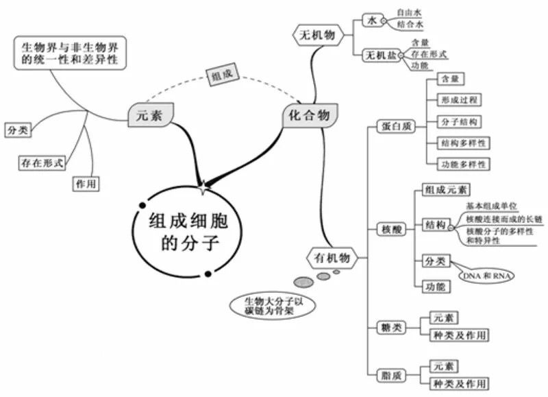 草履虫结构图(初中生物：重要知识点图解，内容清晰明了、简单易懂)