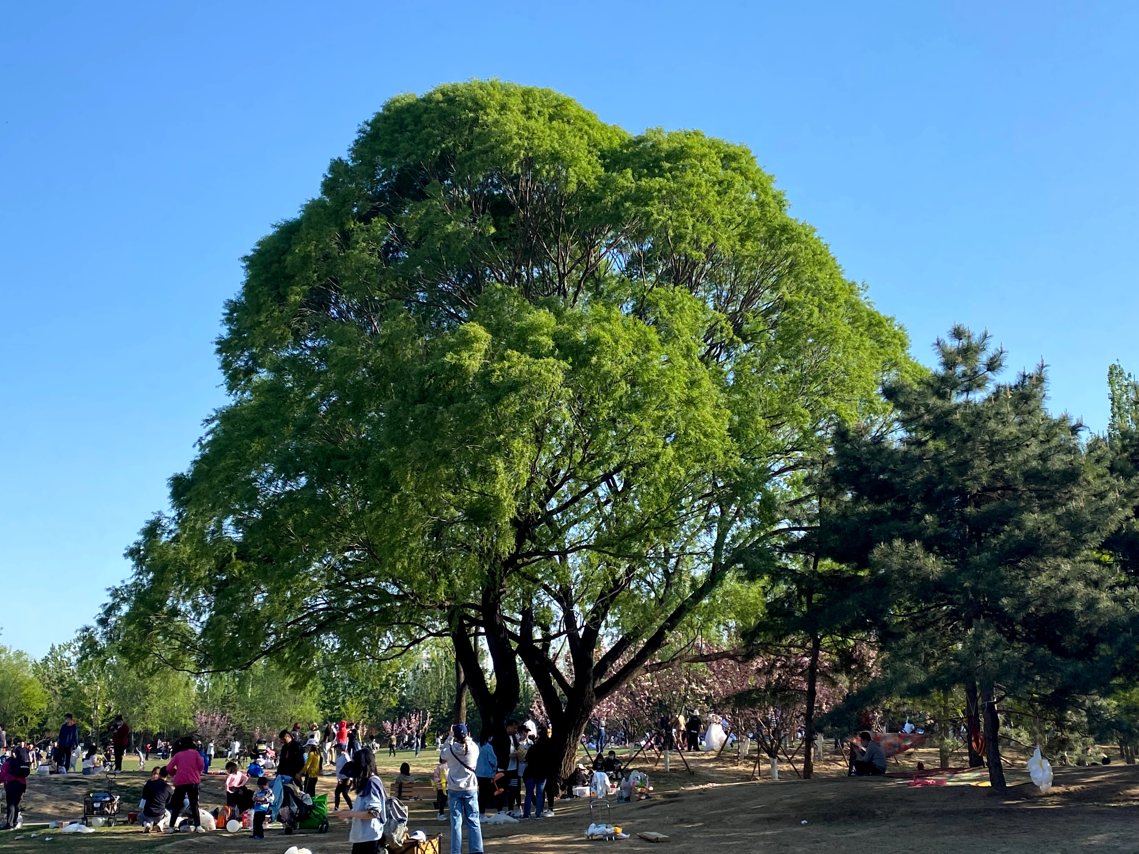 推荐几个北京周边游好去处