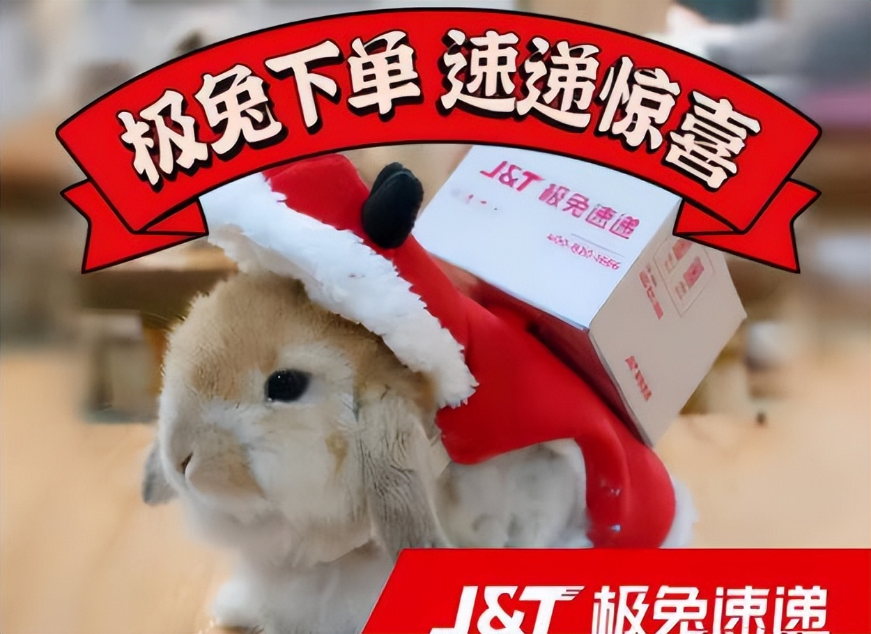 极兔成功入主中国快递市场，且68亿收购百世，为何反而负面缠身？