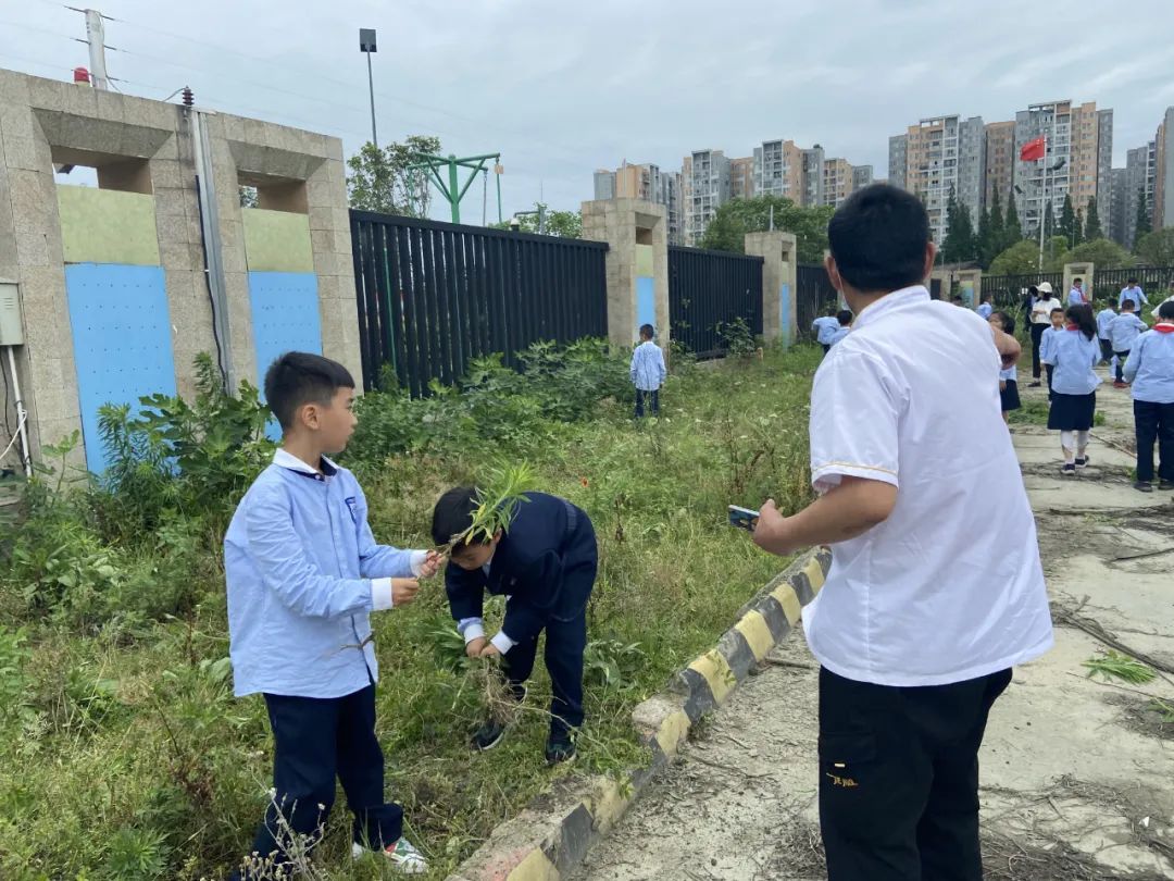 劳动挥洒五月余热 奉献迎接六月喜悦｜记实小外语校劳动系列课程