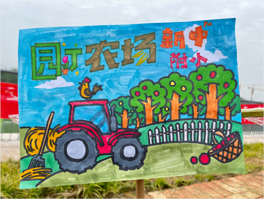 “心与心行 劳动有我”|新兴中学附小开展五一劳动周实践活动