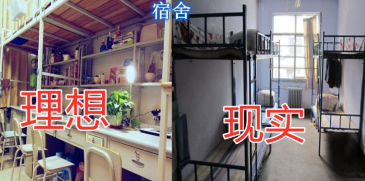 “多么痛的领悟”？现实的大学VS理想的大学，没有对比就没有伤害