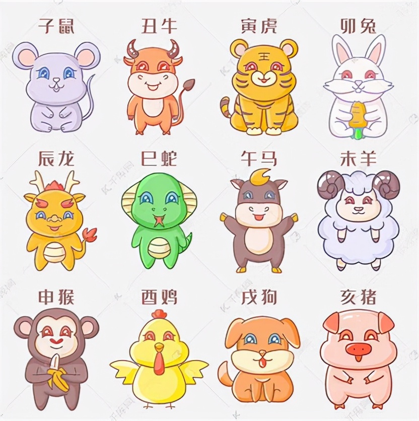 白马是代表十二生肖那个动物?