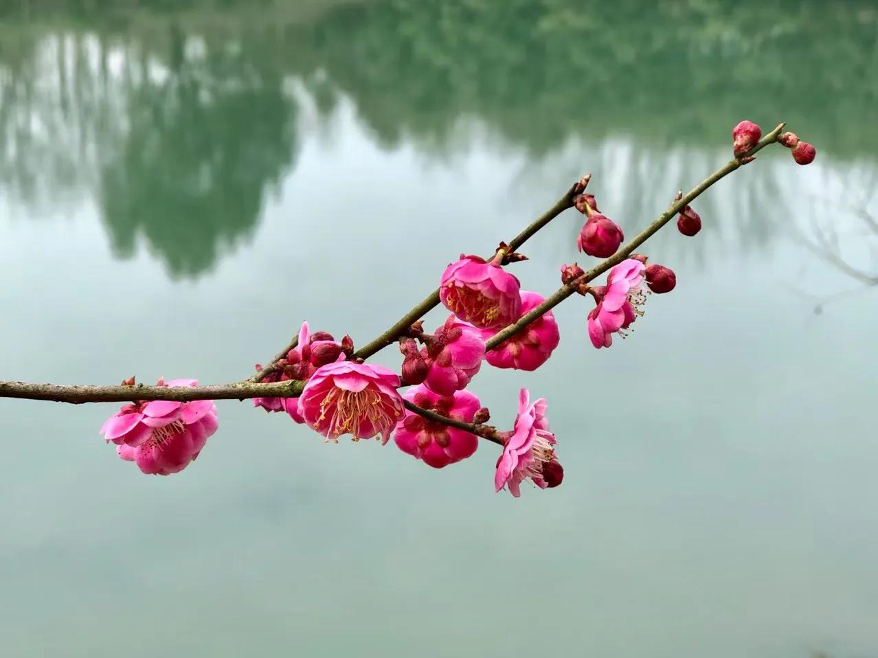 人，可以生得丑，但必须活得漂亮