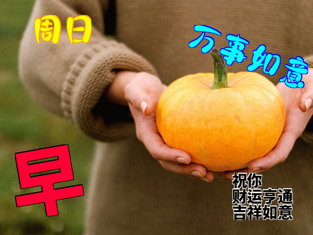 清晨美女问候早上好漂亮早上好表情包祝福语 愿君开心快乐 健康平安图片