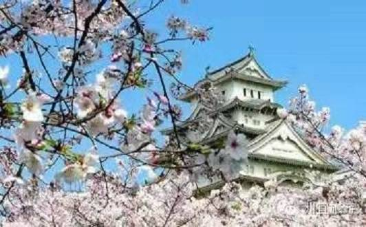 日本留学生考试科目,日本留学生考试科目有哪些