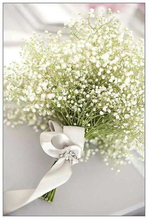 关于紫色满天星的说说配图「搞笑」 _qq说说网