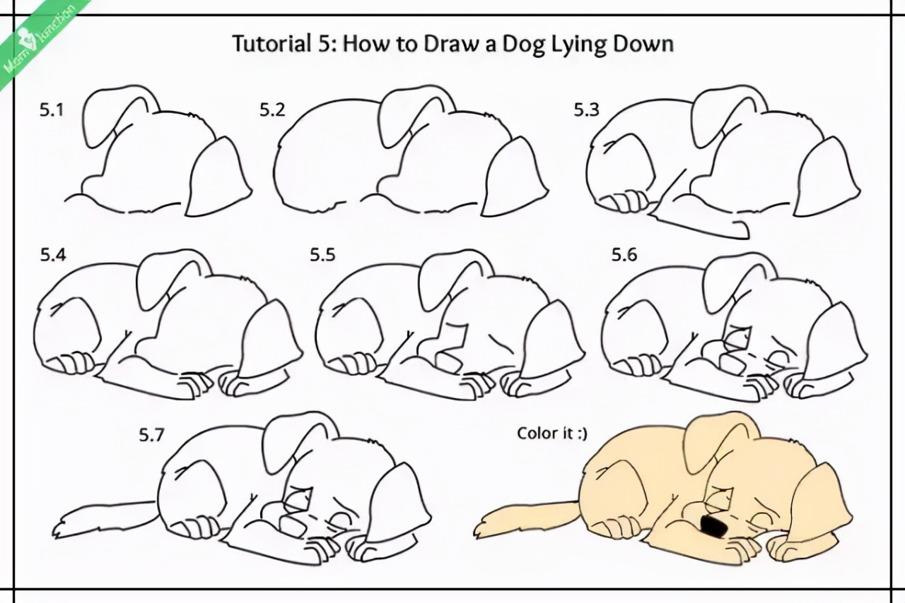 九种小狗的简笔画法详细教程
