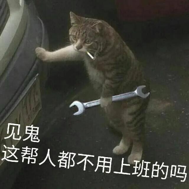 加油，熬夜加班之魂