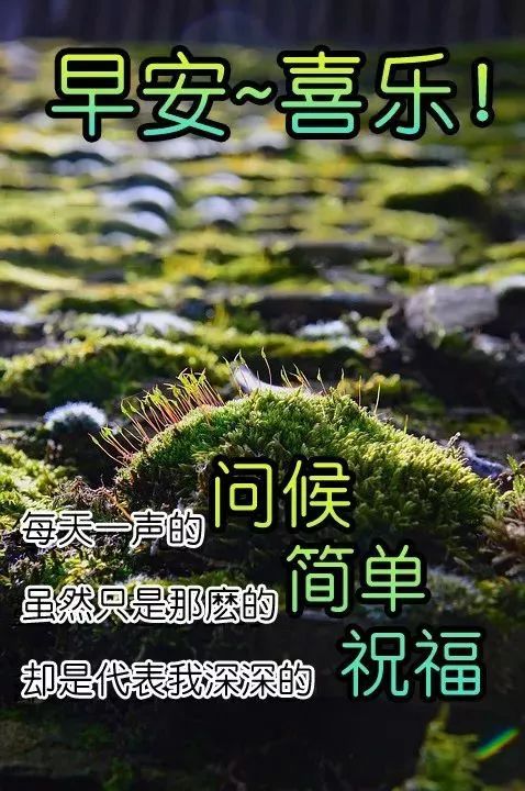 微信早上好的问候语图片 做人简单就好、生活宁静就好图片