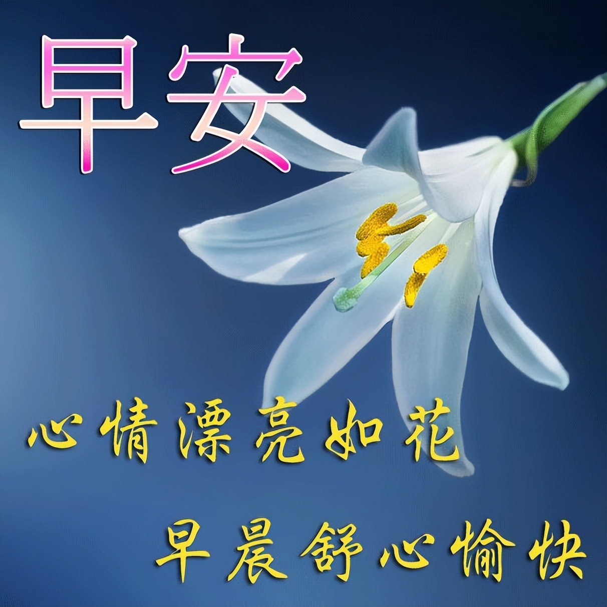 漂亮的早上好祝福图片，早上好祝福语句，祝福我的朋友万事都美好图片