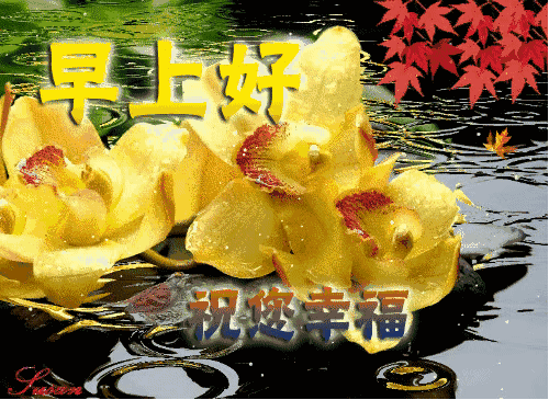 微信早上好祝福动态表情图片，今日早安心语问候短信大全图片