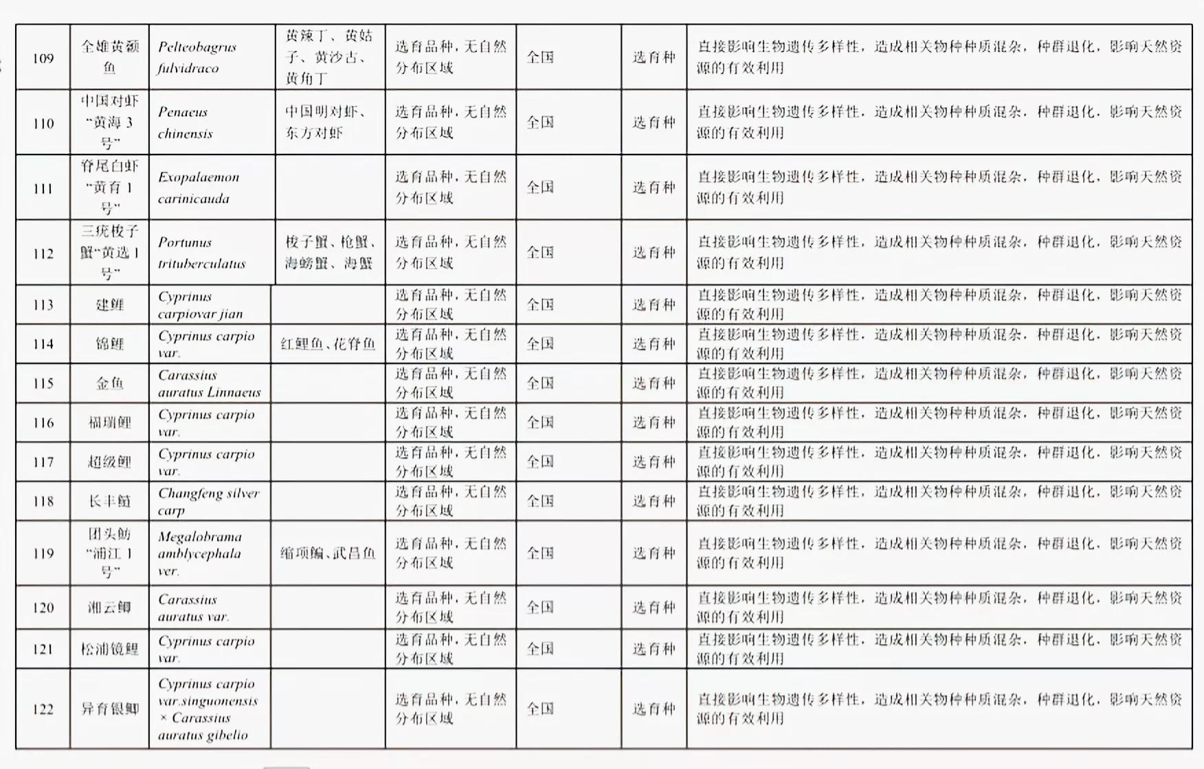 铁背鱼长什么样，95种禁放水生物图片介绍