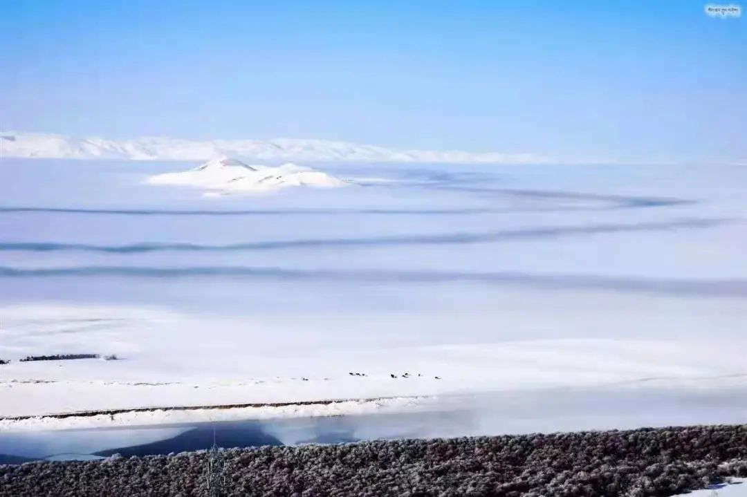 你绝没看过的若尔盖小众旅游指南！周末自驾川西高原的云端天堂