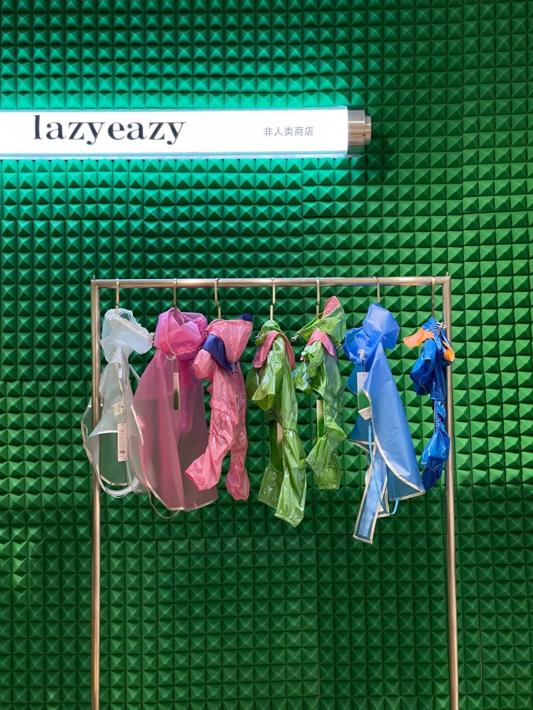 掏空年輕人錢包的寵物經濟，“大而全”與“小而美”并存
