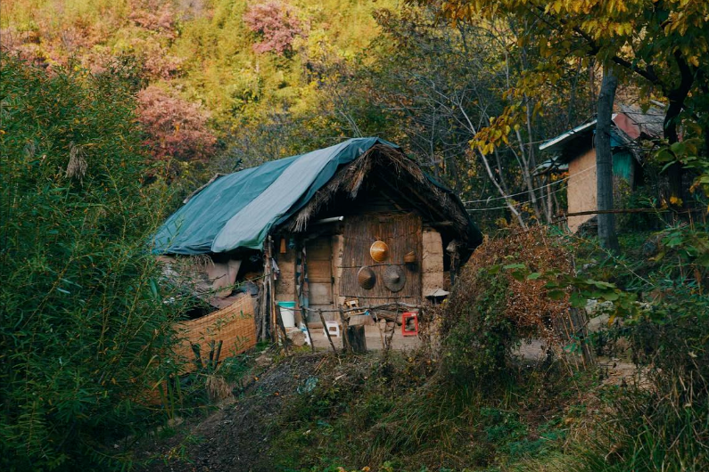 终南山女隐士王芝霞：43岁弃家皈依佛门，85岁仍坚持打坐参禅