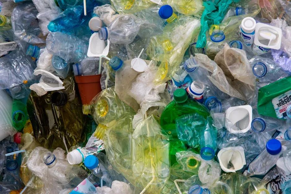 回收的塑料瓶都用在了哪里？收垃圾一年利润超百万，心动吗？