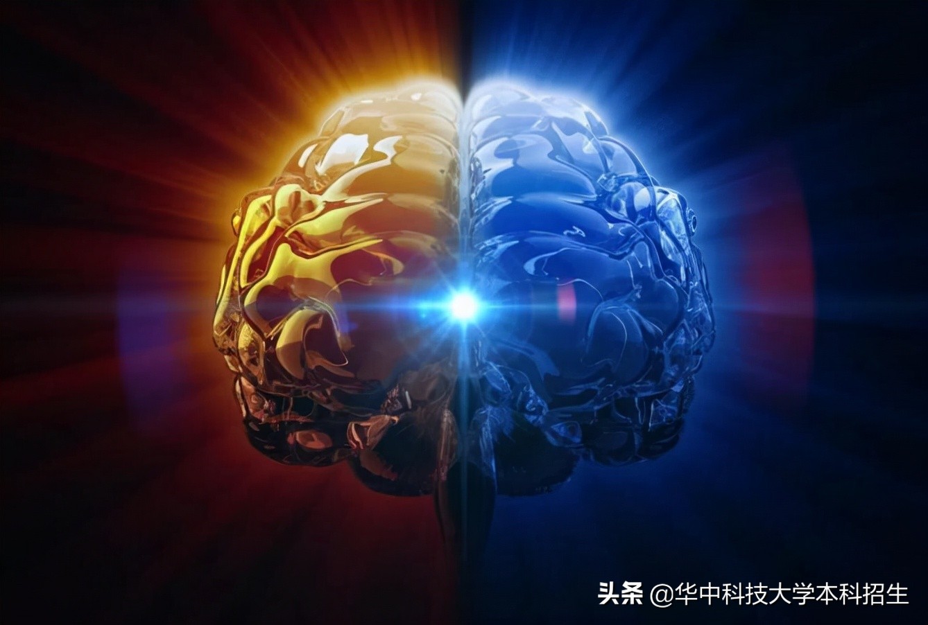 华中科技大学校历（又一年度10大事件揭晓）