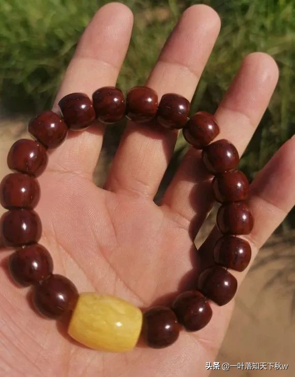 象牙果盘玩后效果图(象牙果盘玩变色)-我的快乐小窝