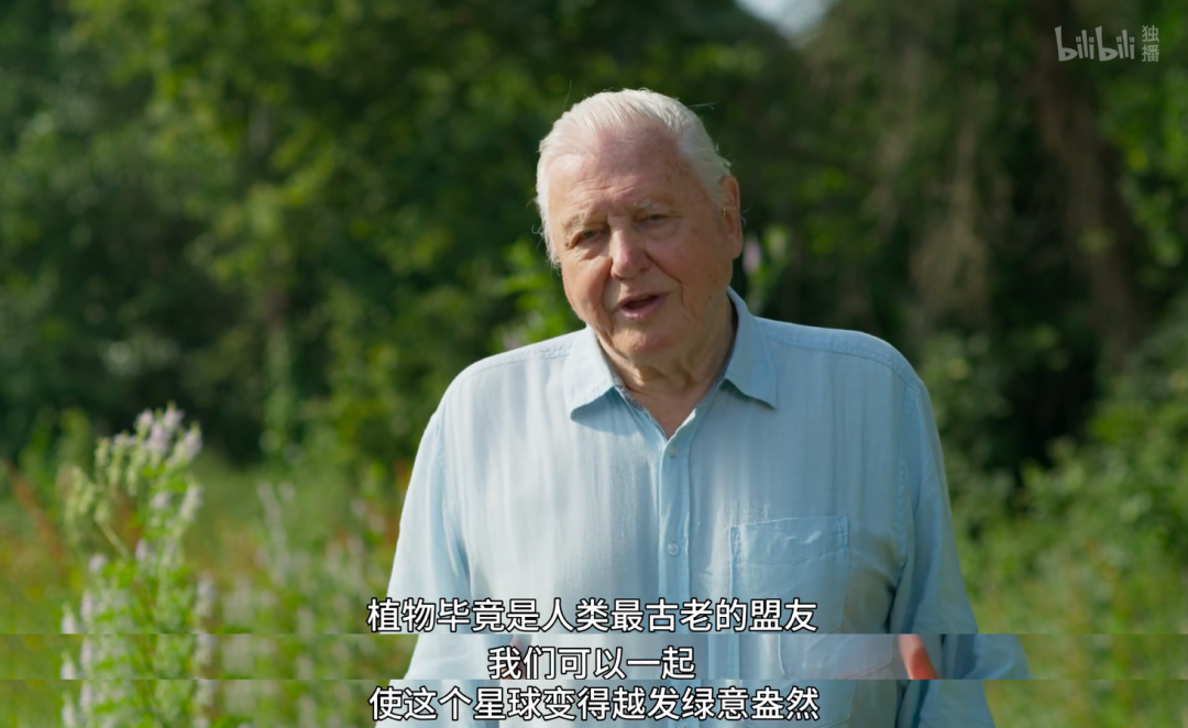 豆瓣第一电影