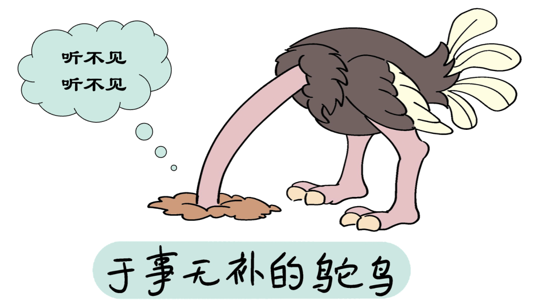 太平鸟——紧急调头的社交品牌？