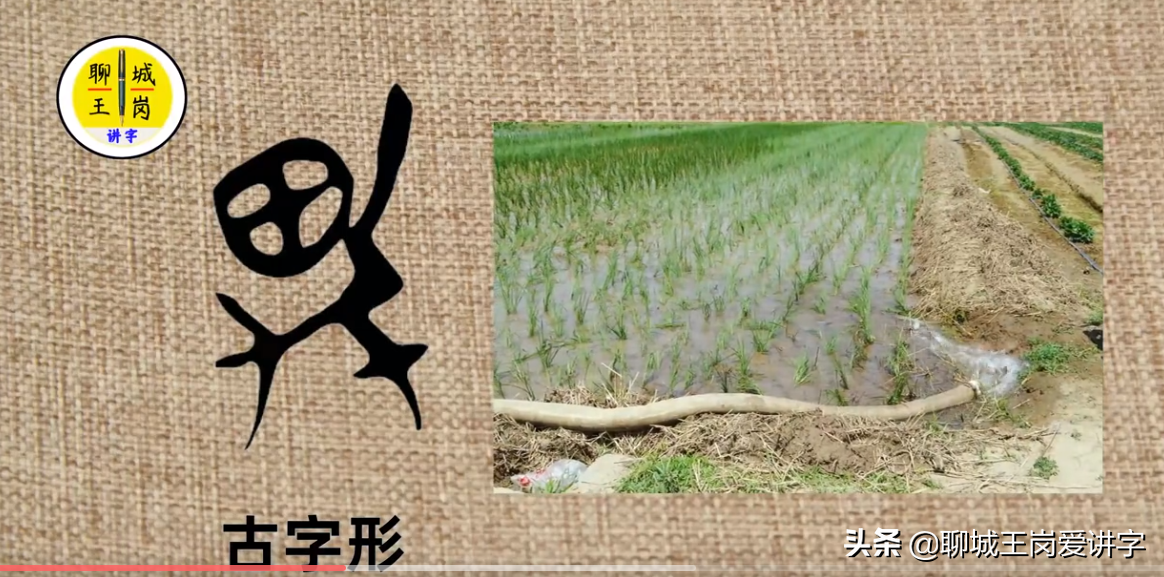 漢字學問：網紅劉畊宏的“畊”字是什么意思？本人也出來解讀了