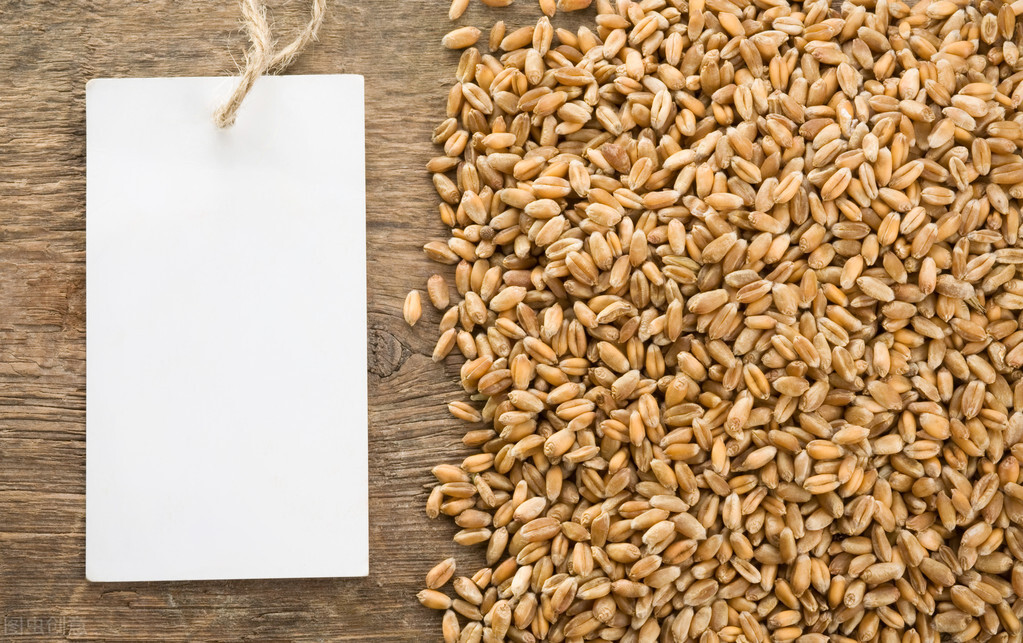 新麦上市在即，麦价开始剧烈波动！今年的新麦会“高开高走”吗？