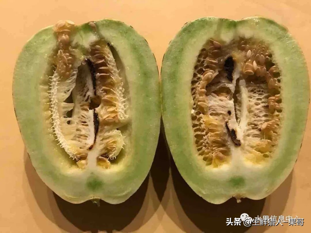 哈密瓜、蜜瓜、网纹瓜、香瓜、羊角蜜傻傻分不清？看完就明白了