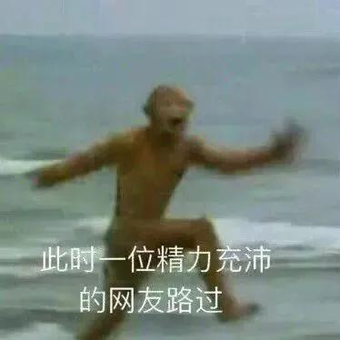 表情包｜此时一位精力充沛的网友路过