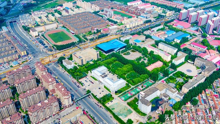 哈尔滨是一个被低估的大学城，哈尔滨的高校有多强？