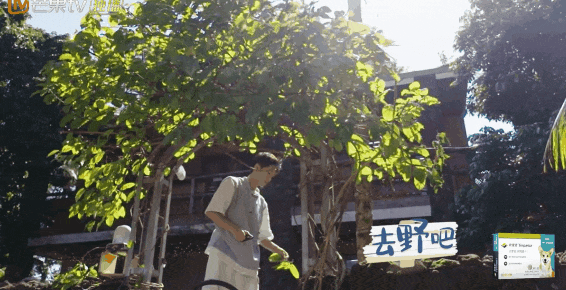 10分钟看哭7次！当他们不再“有用”的时候，却也无法正常生活