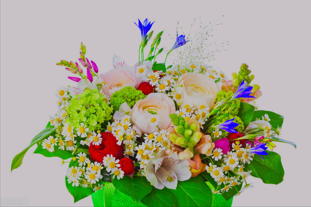 “一花一世界：刹那芳华中的宇宙秘境”