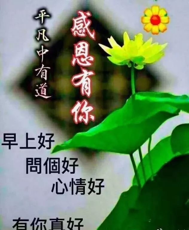 新周更新早上好表情包 ,吉祥如意,好运常在,天天开心,好运伴你左右图片