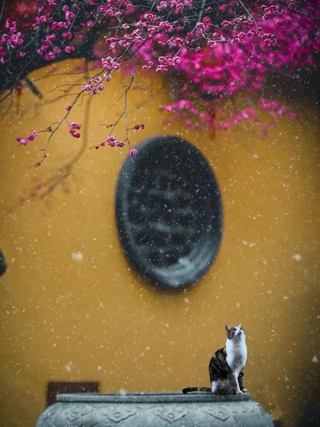 相由心生，境随心转