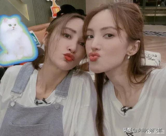 张歆艺金晨晒《乘风破浪》花絮照 隔空“互怼”感情好