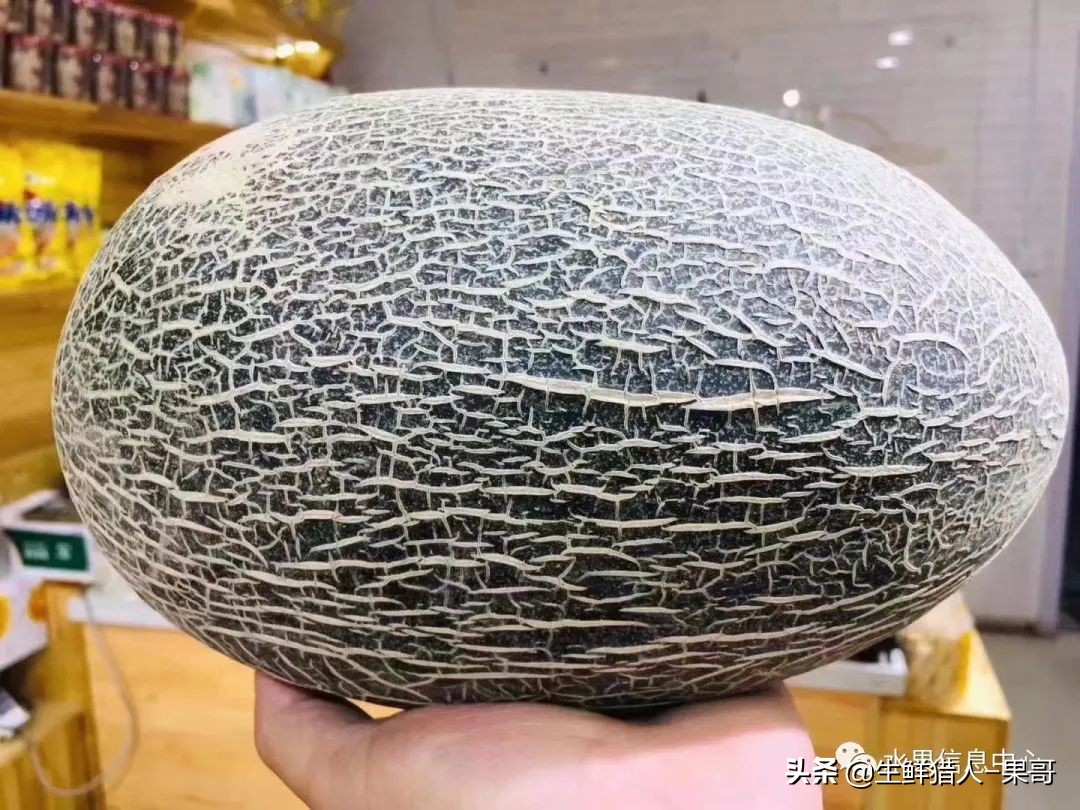 哈密瓜、蜜瓜、网纹瓜、香瓜、羊角蜜傻傻分不清？看完就明白了