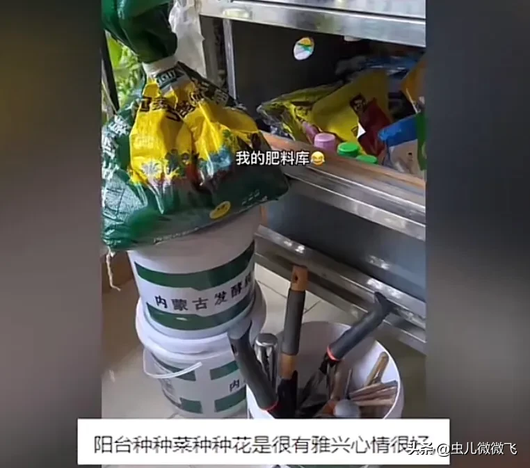 又爱又怕！鲜嫩水灵的蔬菜瓜果却也有被嫌弃的时候