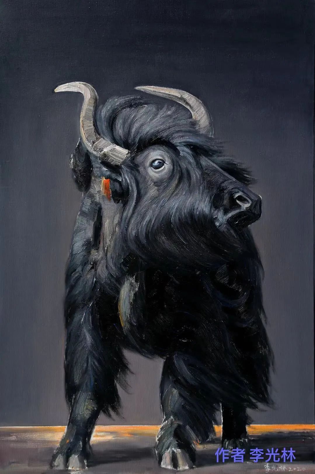 ڻƷ;ͻƷ