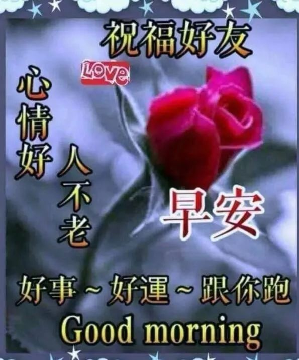 最新早上好表情包 早安问候语今日更新 面对生活的困境，想办法解决图片