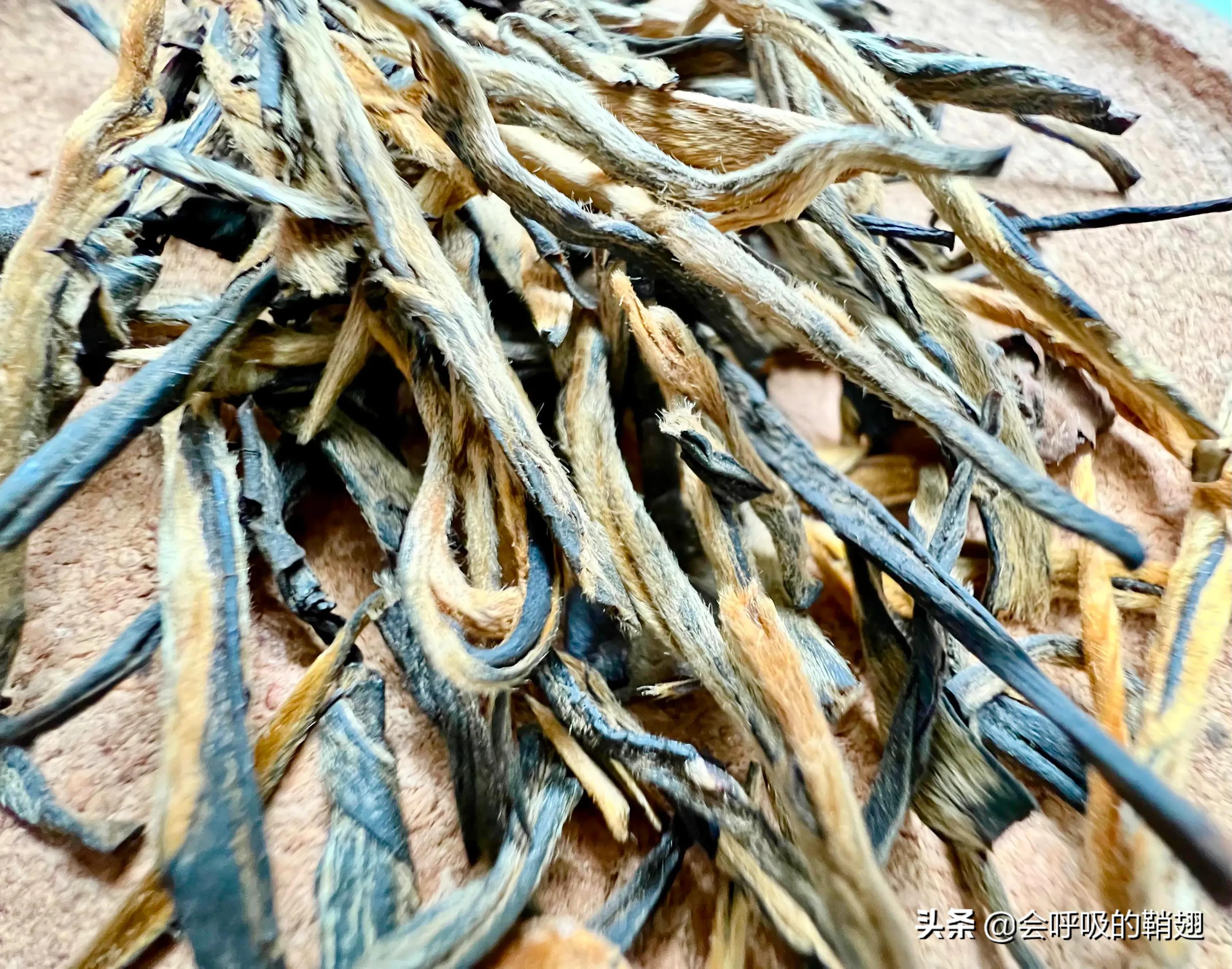 云南12种滇红茶,有你爱喝的吗?