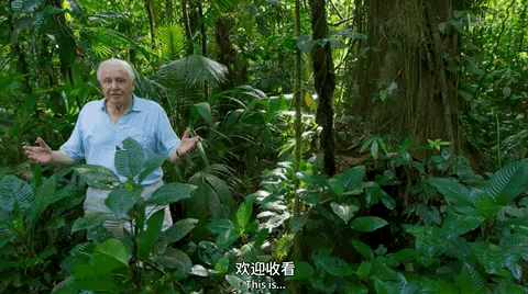 豆瓣第一电影